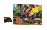 Endangered Animals - Parrot - JJ752