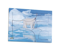 Endangered Animals - Polar Bear - JJ753