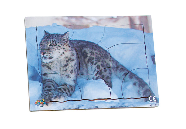 Endangered Animals - Snow Leopard - JJ756