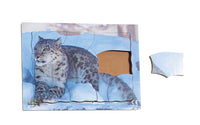 Endangered Animals - Snow Leopard - JJ756