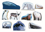 Animals & Continents Polar Regions - JJ776